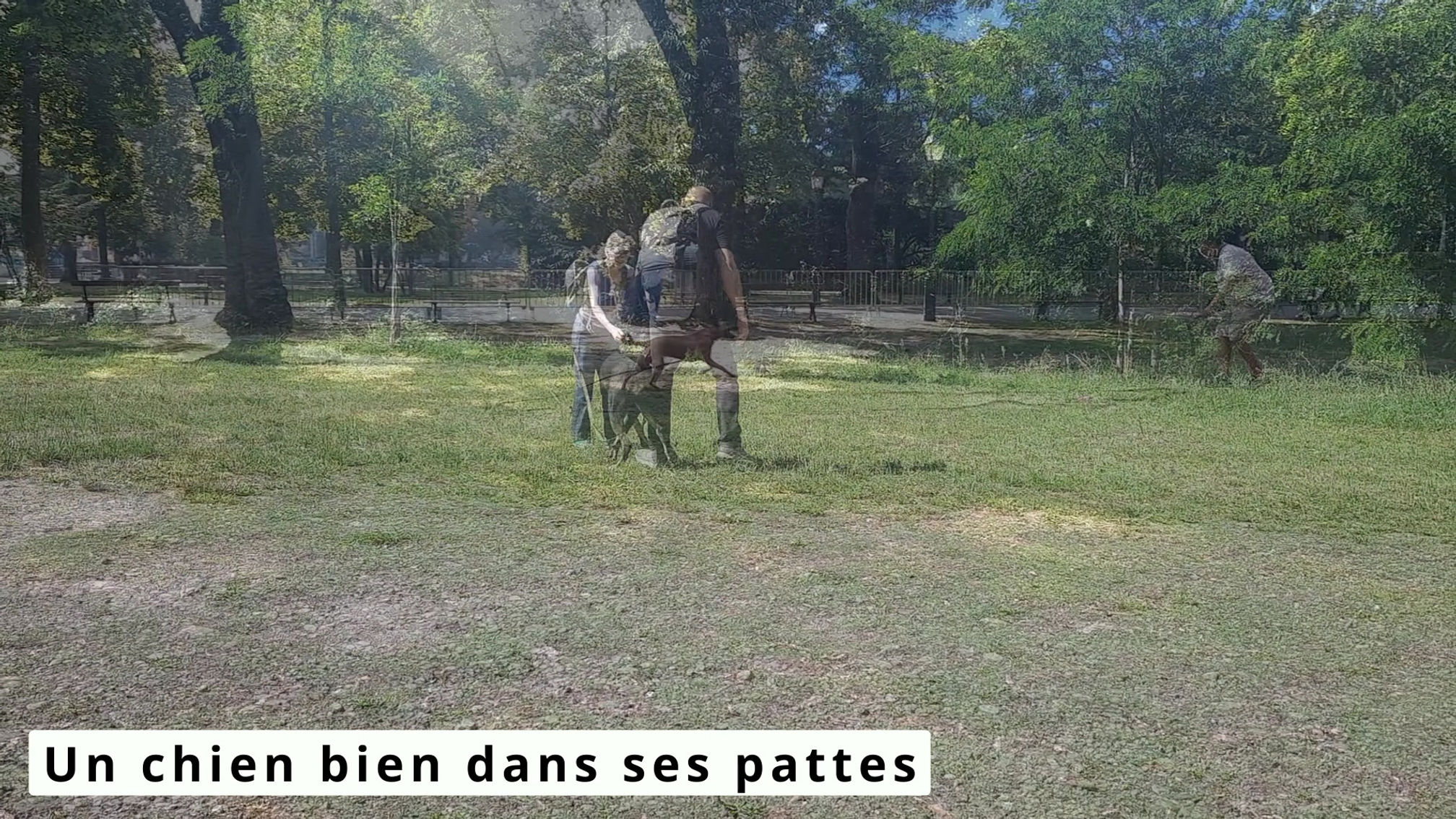 La méthode Dollydog Educ
